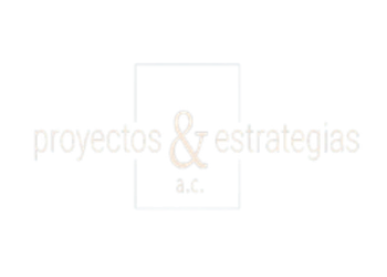 Proyectos & Estrategias